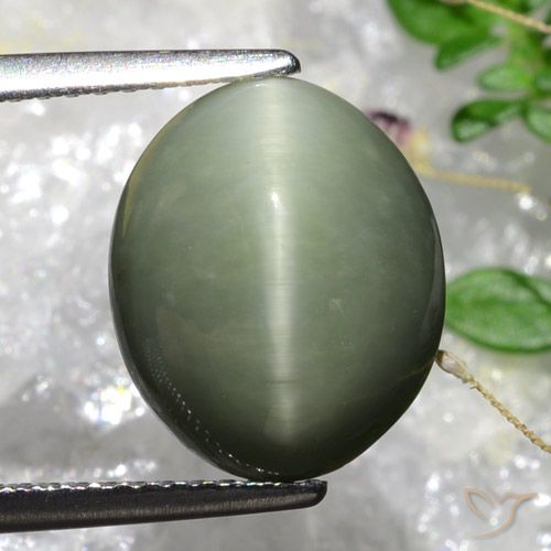 5.84ct Natural Verde musgo acinzentado Quartzo Olho de Gato, oval, Opaco