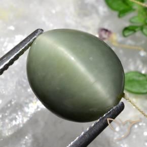 Quartzo Olho de Gato Verde musgo acinzentado Natural 5.84ct, oval, Opaco