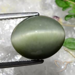 Quartzo Olho de Gato Verde musgo acinzentado Natural 5.84ct, oval, Opaco