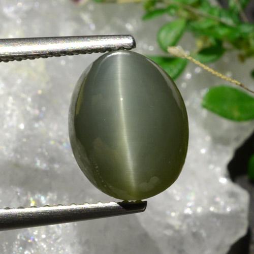 Quartz cat's eye verde natural 3,92ct, corte oval, opaco