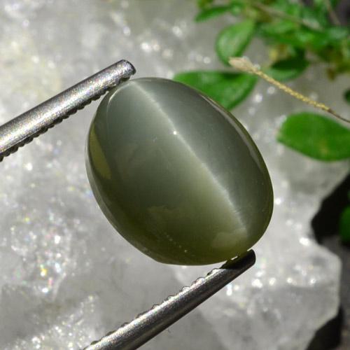 Quartz cat's eye verde natural 3,92ct, corte oval, opaco