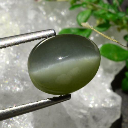Quartz cat's eye verde natural 3,92ct, corte oval, opaco