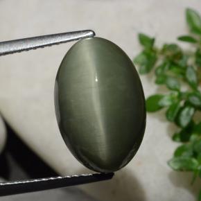 Quartzo Olho de Gato Verde Terroso Natural 6.44ct, Corte Oval, Opaco