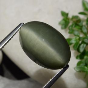 Quartzo Olho de Gato Verde Terroso Natural 6.44ct, Corte Oval, Opaco