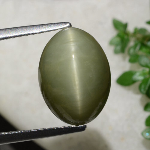 Quartzo olho de gato verde quente natural 6,21ct, corte oval, opaco