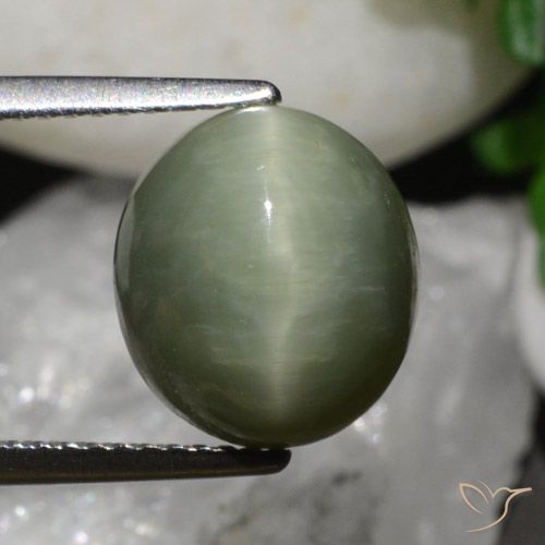 6.79ct Natural Verde Terroso Quartzo Olho de Gato, oval, Opaco