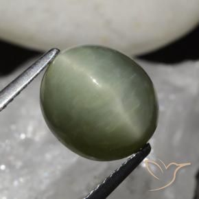 Quartzo Olho de Gato Verde Terroso Natural 6.79ct, oval, Opaco