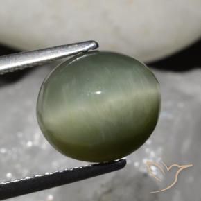 Quartzo Olho de Gato Verde Terroso Natural 6.79ct, oval, Opaco