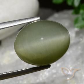 Quartzo Olho de Gato Exército verde Natural 6.34ct, oval, Opaco