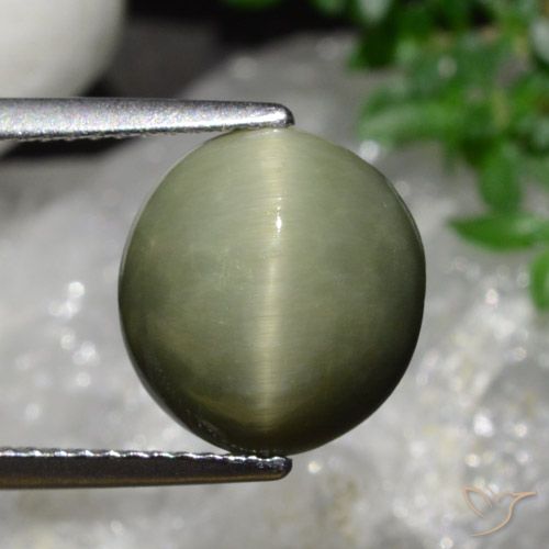 5.58ct Natural Exército verde Quartzo Olho de Gato, oval, Opaco