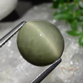 Quartzo Olho de Gato Exército verde Natural 5.58ct, oval, Opaco