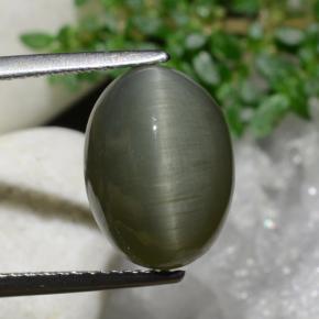 Quartzo Olho de Gato Verde Terroso Natural 6.97ct, Corte Oval, Opaco