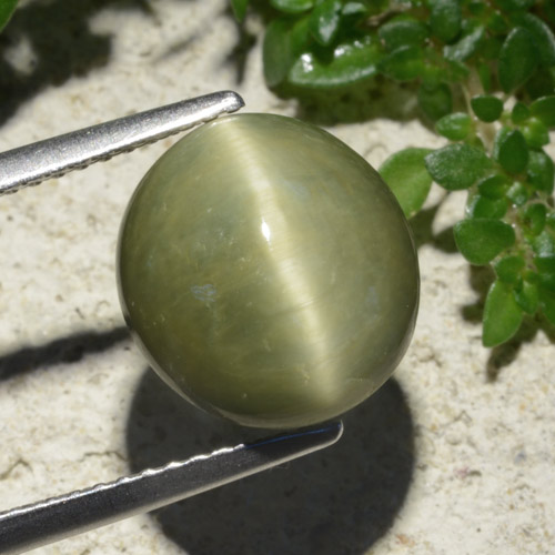 Quartzo Olho de Gato verde quente Natural 6.19ct, Corte Oval, Opaco