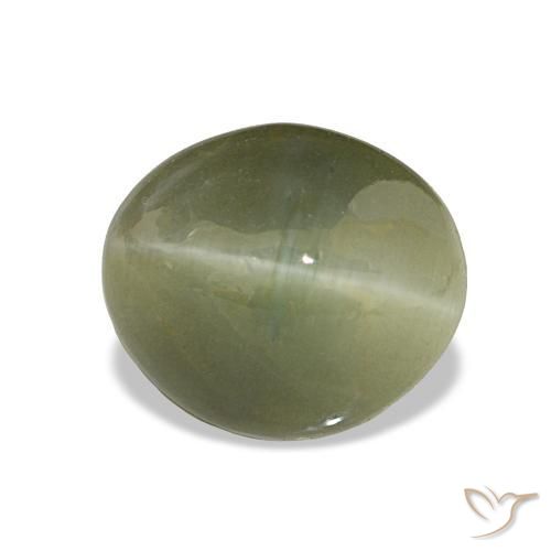 Quartzo Olho de Gato Verde amarelado Natural 6.98ct, Corte Oval, Opaco