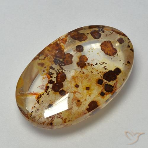 Quartzo Com Marcassita Multicolorido Natural 16.40ct, oval, Transparente