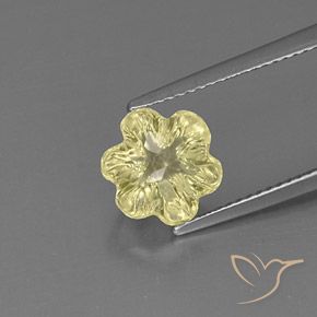 2.83ct Natural Amarelo claro Quartzo, Flor cortada, Transparente