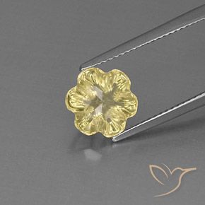 2.60ct Natural Amarelo claro Quartzo, Flor cortada, Transparente