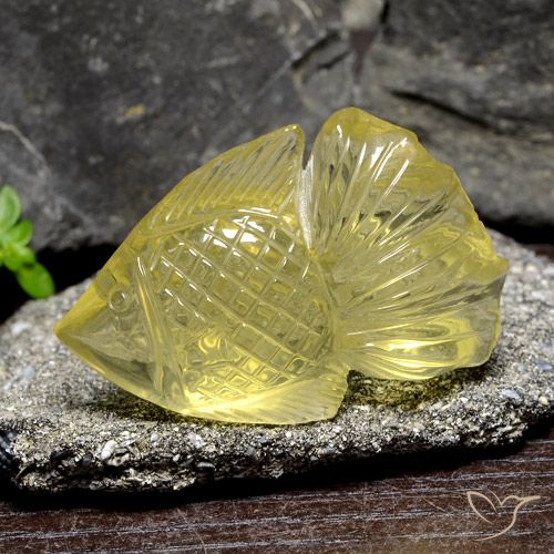 Quartzo amarelo natural 60,55ct, forma extravagante, transparente