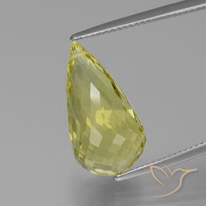 12.58ct Natural Luz amarela Quartzo, Briolette, VVS