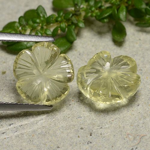 5.58ctw Natural amarelo médio Quartzo, Flor cortada, Transparente