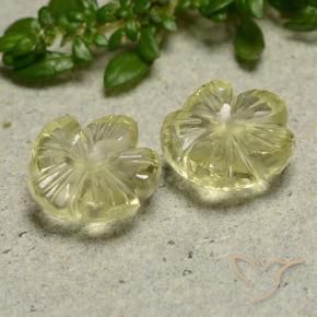 Pedras preciosas de Quartzo amarelo médio natural de 5.58 ct, Flor cortada, Transparente