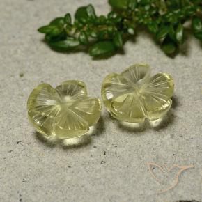 Pedras preciosas de Quartzo Amarelo Creme Pálido natural de 6.21 ct, Flor cortada, Transparente