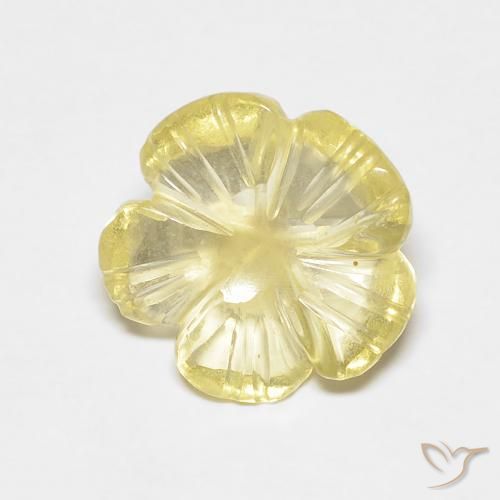 2.49ct Natural Amarelo Creme Pálido Quartzo, Flor cortada, Transparente
