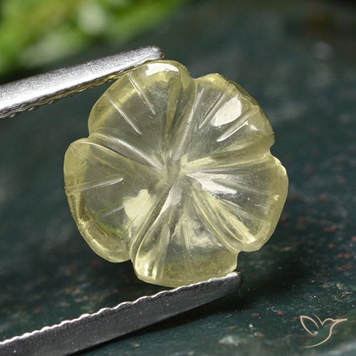 2.45ct Natural Amarelo Esverdeado Claro Quartzo, Flor cortada, Transparente