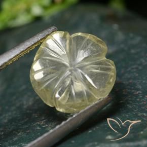 Quartzo Amarelo Creme Pálido Natural 2.64ct, Flor cortada, Transparente