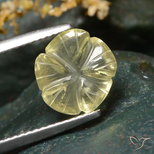 3.54ct Natural amarelo médio Quartzo, Flor cortada, Transparente, Photo A