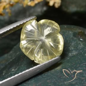 Quartzo amarelo médio Natural 3.54ct, Flor cortada, Transparente