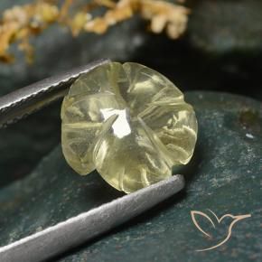 Quartzo amarelo médio Natural 3.54ct, Flor cortada, Transparente