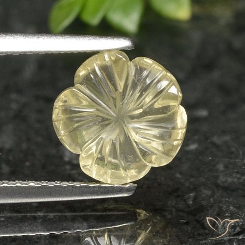 1.90ct Natural Amarelo claro Quartzo, Flor cortada, Transparente