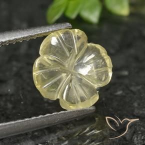 Quartzo amarelo médio Natural 1.66ct, Flor cortada, Transparente