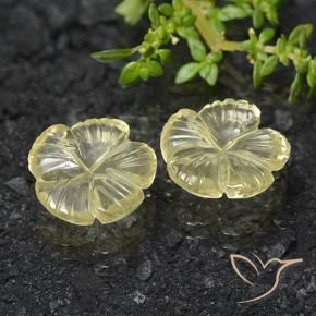 Pedras preciosas de Quartzo Amarelo Creme Pálido natural de 6.83 ct, Flor cortada, Transparente