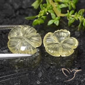 Pedras preciosas de Quartzo Amarelo Creme Pálido natural de 6.83 ct, Flor cortada, Transparente
