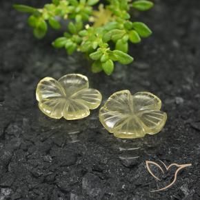 Pedras preciosas de Quartzo Amarelo Creme Pálido natural de 3.50 ct, Flor cortada, Transparente