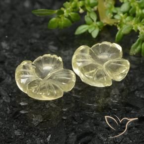 Pedras preciosas de Quartzo Amarelo esverdeado natural de 4.68 ct, Flor cortada, Transparente