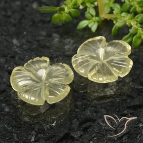 Pedras preciosas de Quartzo amarelo médio natural de 5.58 ct, Flor cortada, Transparente