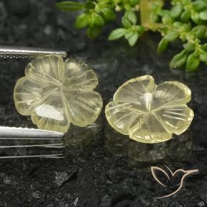 Pedras preciosas de Quartzo amarelo médio natural de 5.58 ct, Flor cortada, Transparente