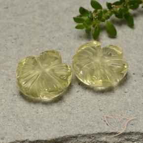 Pedras preciosas de Quartzo amarelo médio natural de 7.61 ct, Flor cortada, Transparente