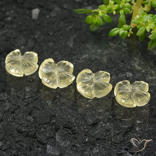 4.78ctw Natural amarelo médio Quartzo, Flor cortada, Transparente