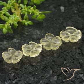 Pedras preciosas de Quartzo amarelo médio natural de 4.51 ct, Flor cortada, Transparente