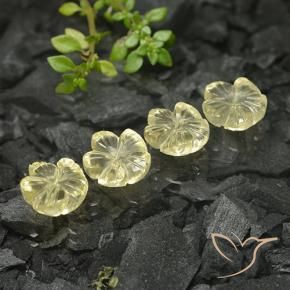 Pedras preciosas de Quartzo Amarelo Creme Pálido natural de 10.51 ct, Flor cortada, Transparente