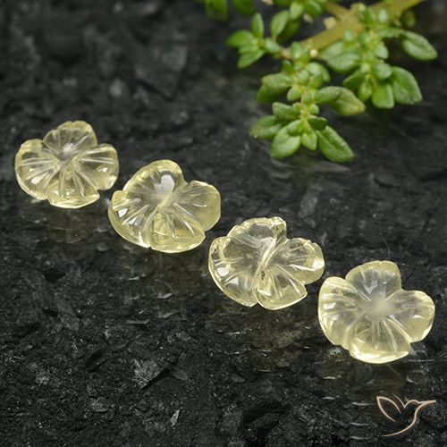5.24ctw Natural Amarelo claro médio Quartzo, Flor cortada, Transparente
