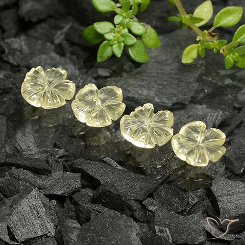 Pedras preciosas de Quartzo Amarelo claro médio natural de 3.74 ct, Flor cortada, Transparente