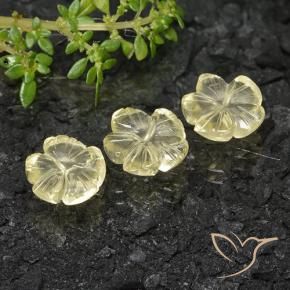 Pedras preciosas de Quartzo Amarelo esverdeado natural de 7.35 ct, Flor cortada, Transparente