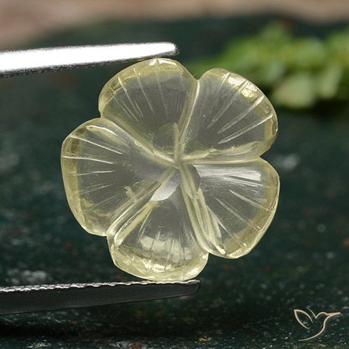 3.59ct Natural amarelo médio Quartzo, Flor cortada, Transparente