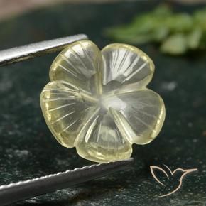 Quartzo amarelo médio Natural 3.59ct, Flor cortada, Transparente