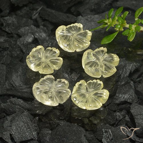 7.28ctw Natural Luz amarela Quartzo, Flor cortada, Transparente